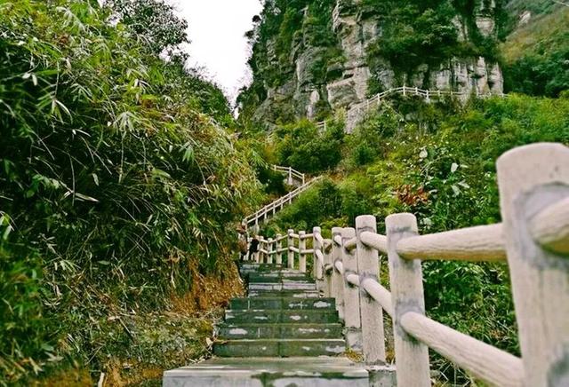 不！要！门！票！还~绝~美~