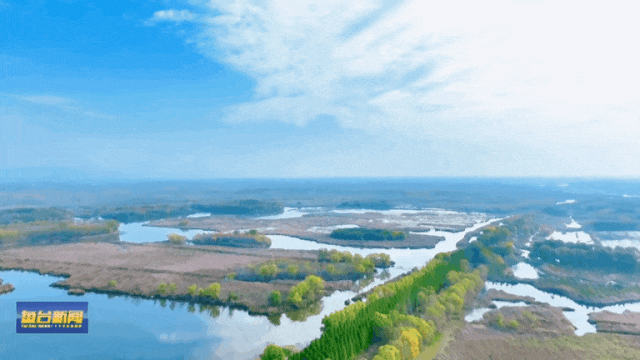 错过等一年！快来鱼台这里赏冬吧