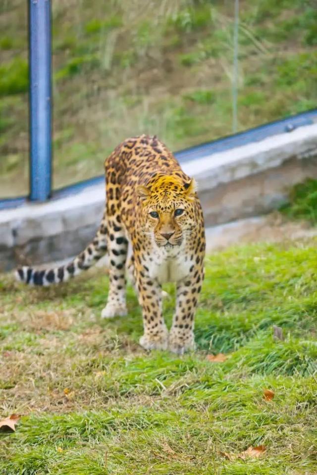 周末好去处丨免费打山泉水！烟台这条徒步秘境火了