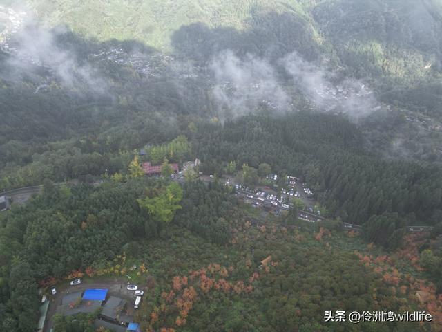 四川行(73)什邡红枫岭徒步到钟鼎寺