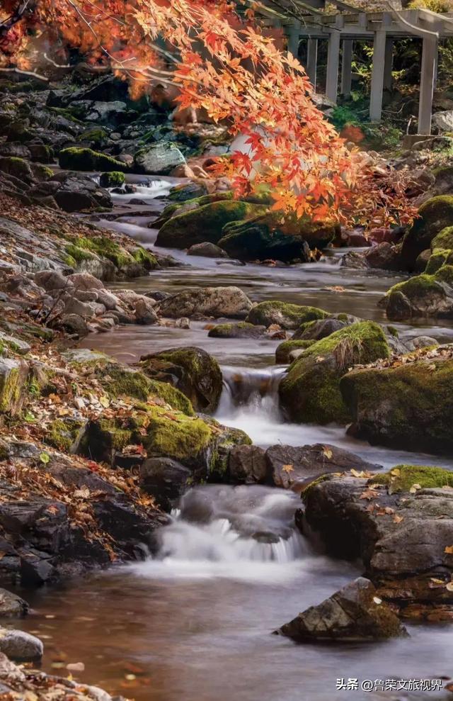 本溪：北国红枫深处的诗意秘境