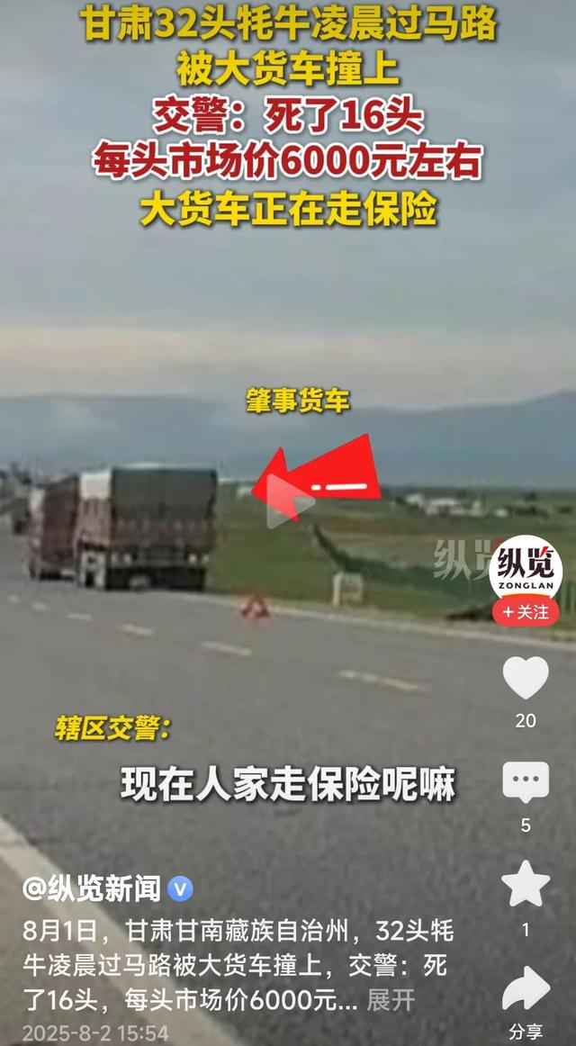 甘肃牦牛凌晨过马路被大货车撞上！死了16头，每头价值6千元左右