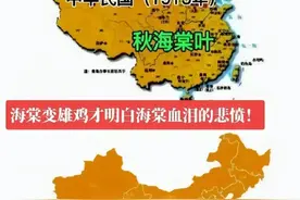 世人只知雄鸡图，谁人犹记海棠泪图片