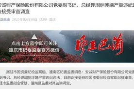 安诚财险党委副书记、总经理周炯被查图片