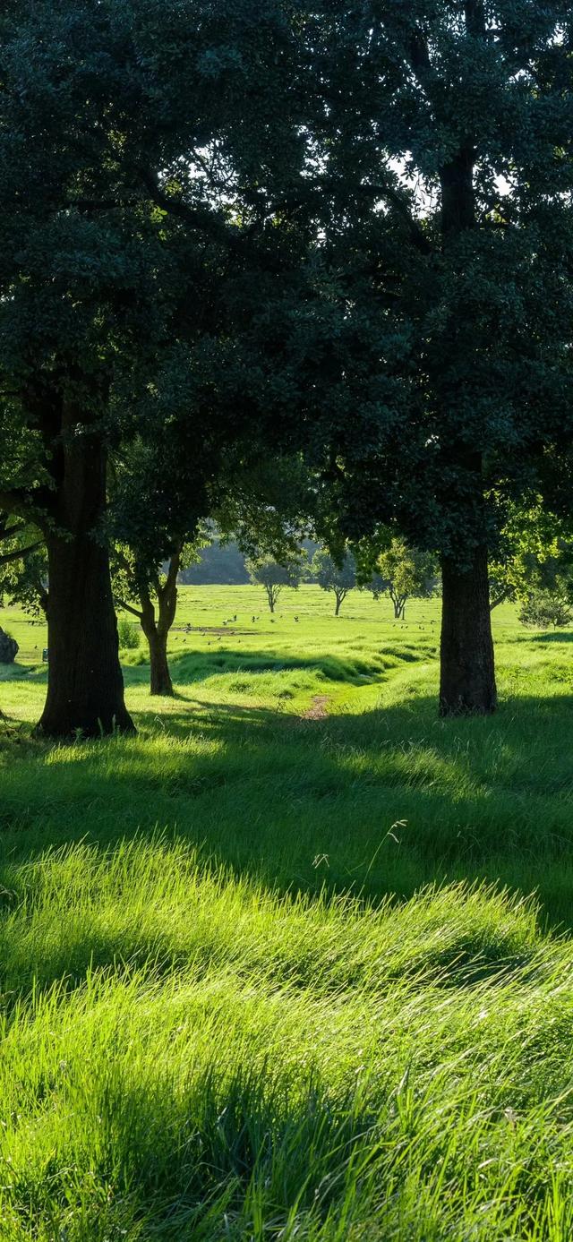 手机壁纸|简约的自然风光美景