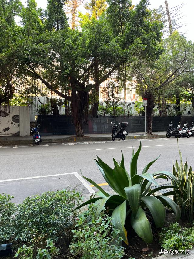 台湾游记：台中印象，一座颇有艺术氛围的城市