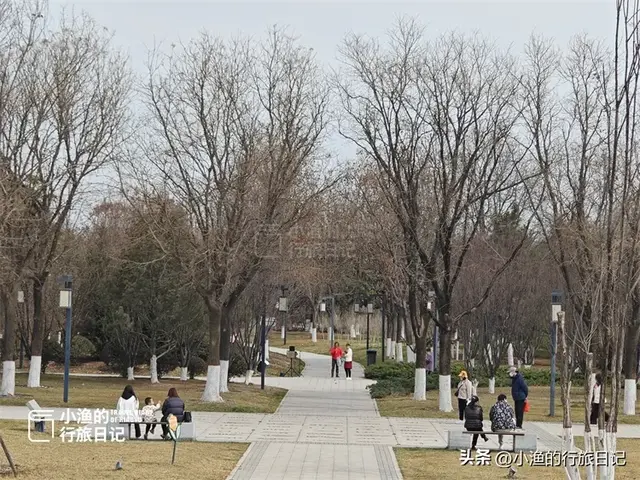 西安“天下第一宫”，是世界最大宫殿基址，面积相当2/3个故宫