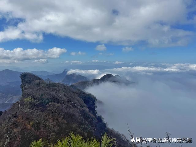 光雾山秋色斑斓，迎来23届光雾山国际红叶节