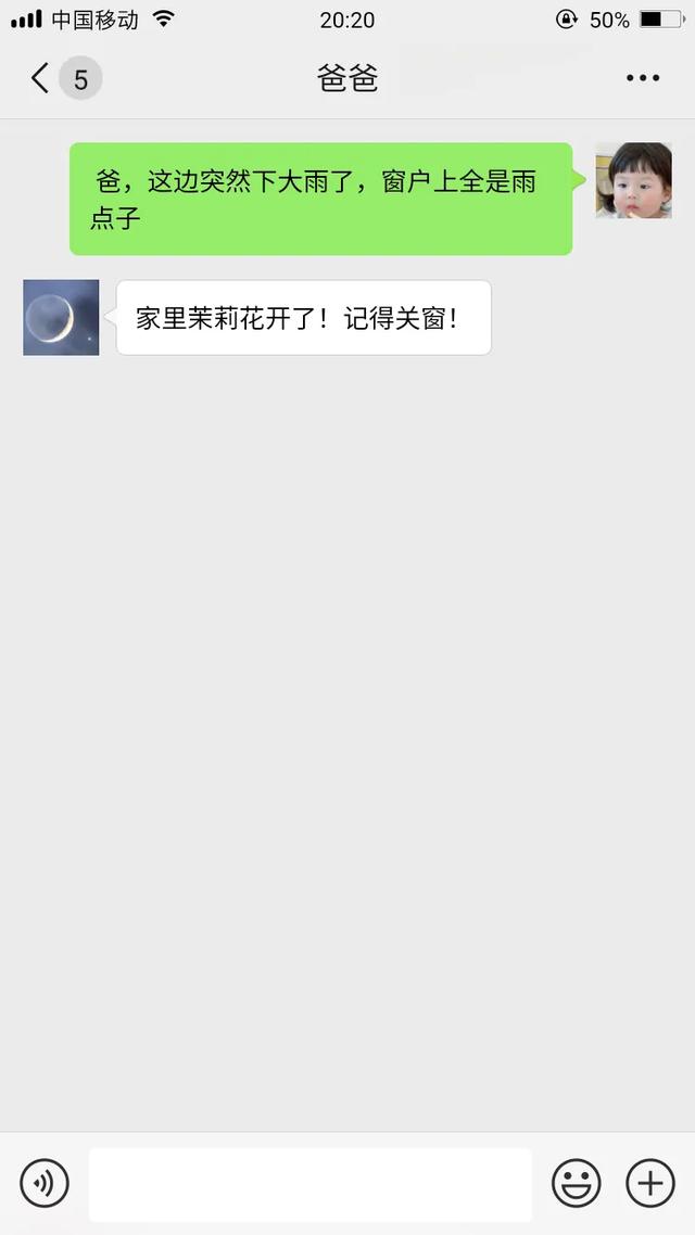 即梦AI视频教程:(五)短视频制作指南——从视频脚本到成片