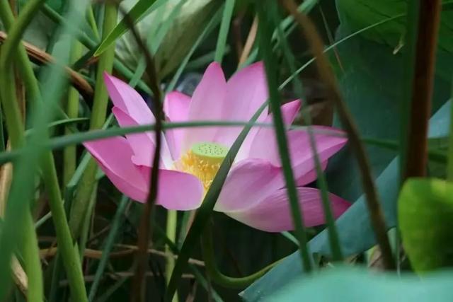 郑州出发2小时左右直达→藏在豫北的 “宝藏地”！