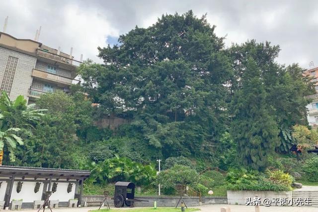 福建第一门户，应识古镇旧模样丨暴走福州