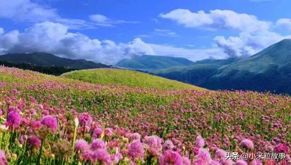 《乌蒙深处》邀你打卡贵州秘境：这里的山水比电视里还要美！