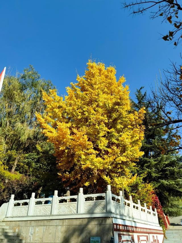 我是广州人，刚从兰州回来，实在忍不住想说：对兰州的 5 点印象