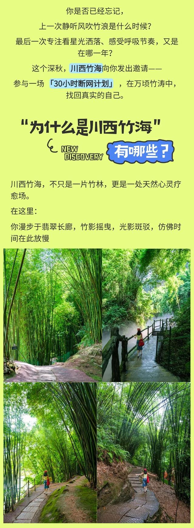 10000元奖金 | 逃离数字囚笼，在川西竹海开启30小时心灵回归计划 ！