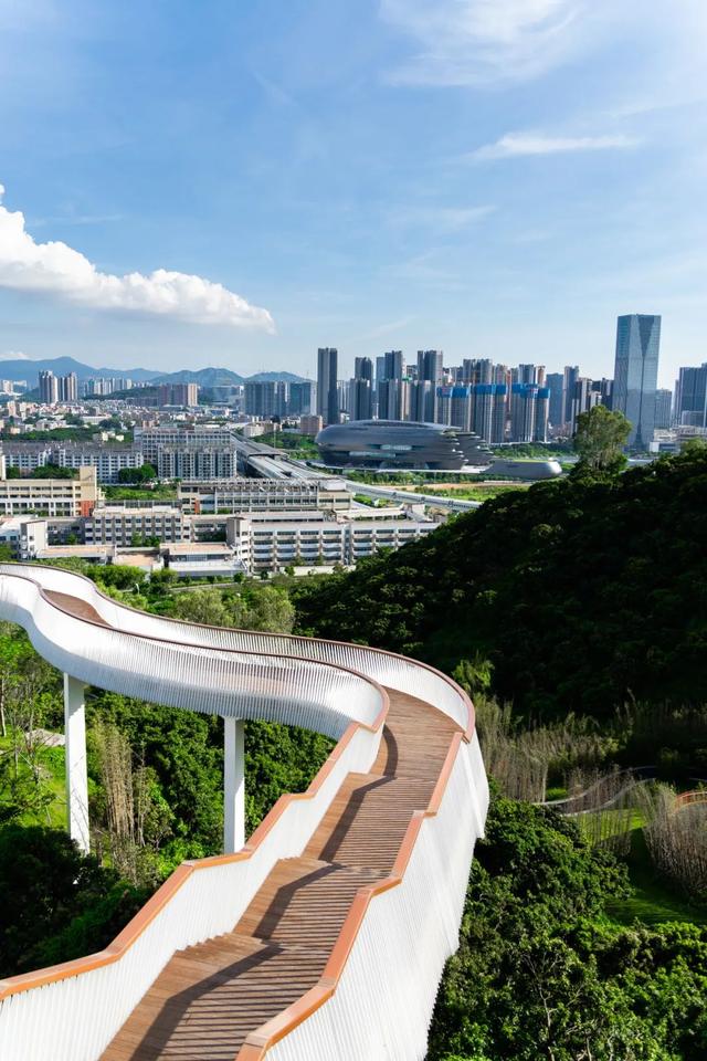 光明这个公园，原来这么好逛！