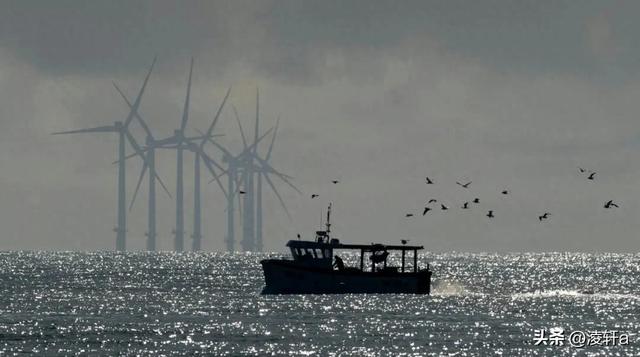 海上风机也堵车？风电场建好了发电量却被偷，发电损失超30%