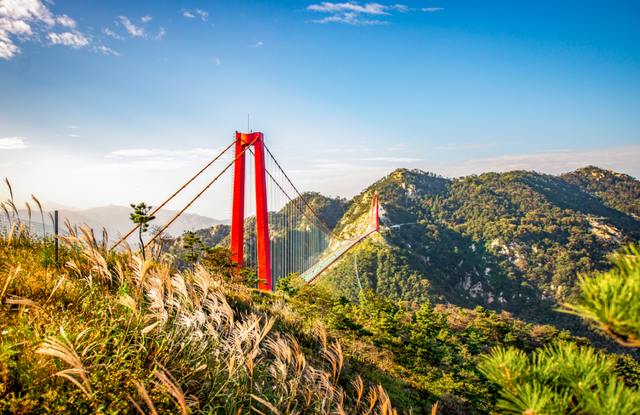 深圳航空ZH旅游新报 | 和临沂拥抱！