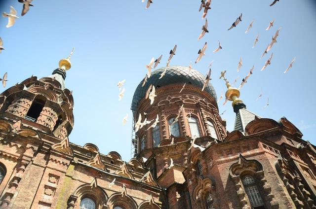 哈尔滨最值得去的6大免费景点，超好玩！送给第一次去哈尔滨的你