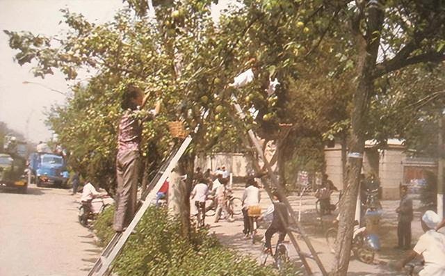 1988年陕西咸阳的老照片，让您重温昔日咸阳的繁华景象