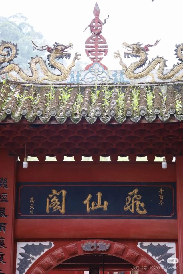 当天来回！动车40min直达冷门吸氧地，竹海徒步戏水钓鱼！物价感人、地道风味好吃到爆！