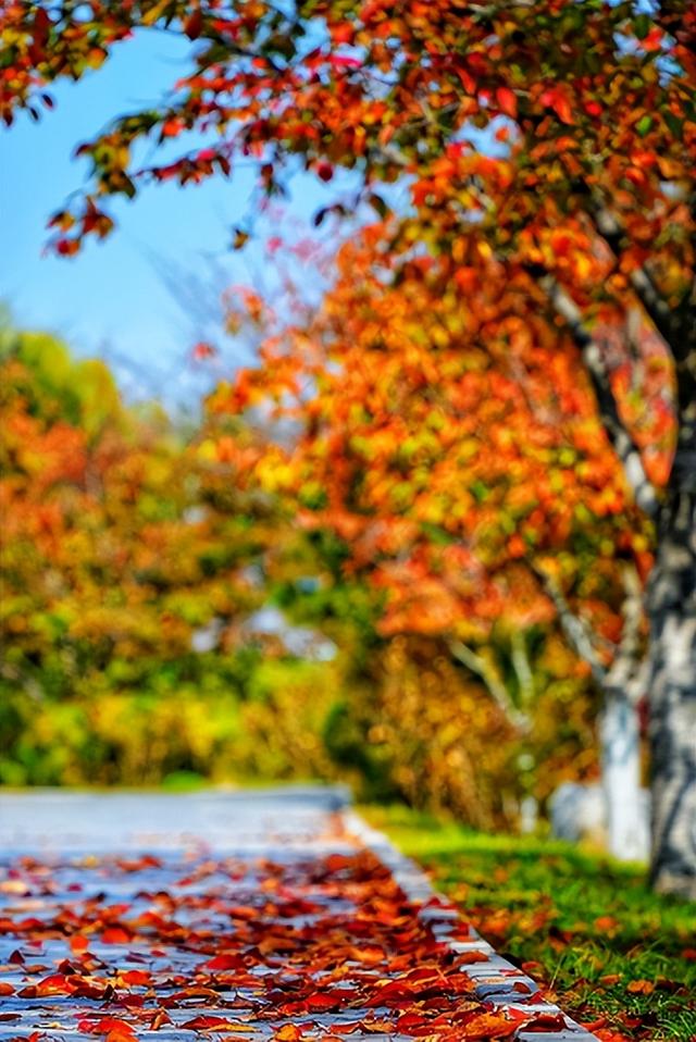 我捡，我捡，我在潍坊捡捡捡！