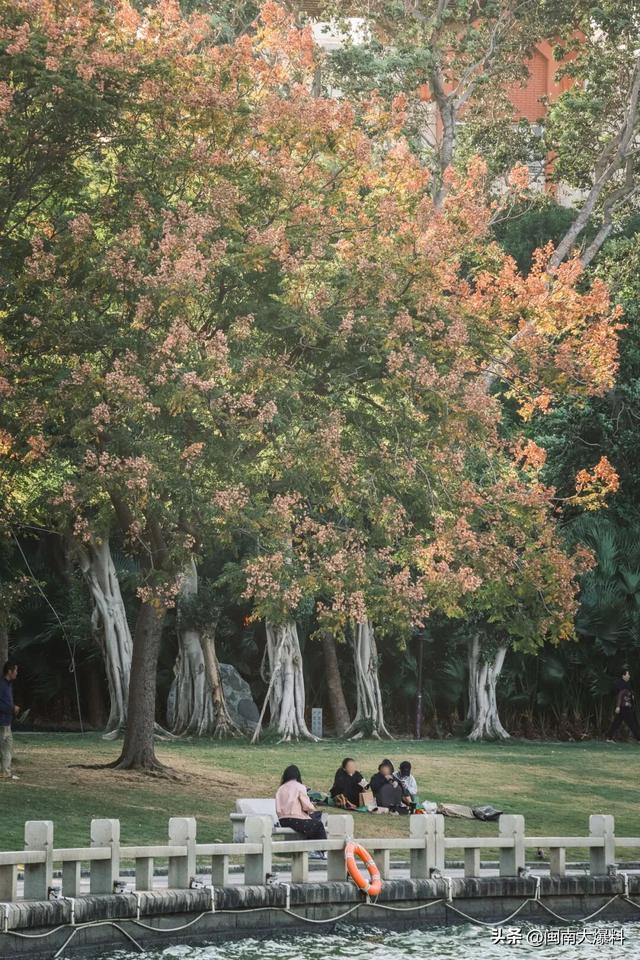 冬日暖阳里，来丰泽这儿享受惬意时光