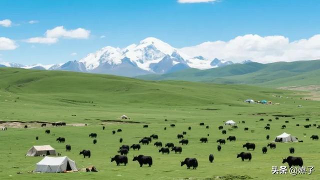 一文读懂西藏：6市1区各有特色，120万平方公里藏着多少惊喜？
