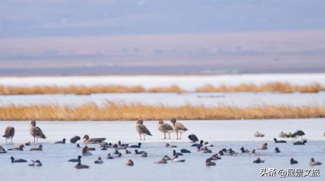 晟景文旅：产旅融合新赛道：春秋假经济完整解决方案！