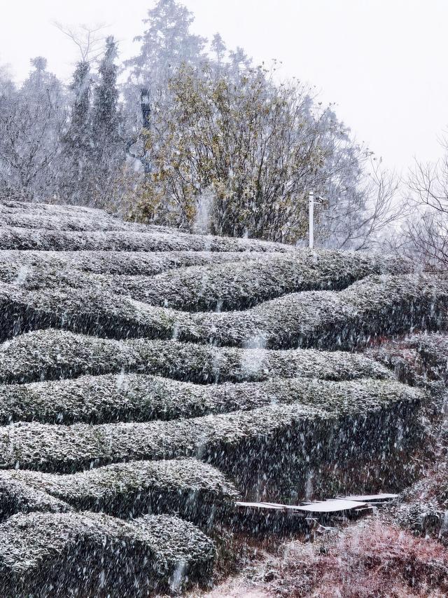 不负等待！高岭文化村终于下雪啦