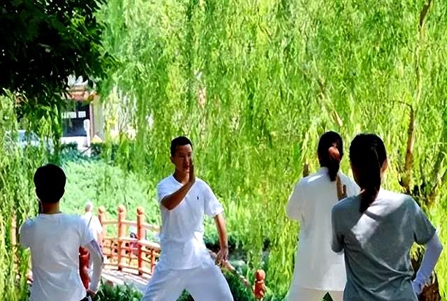 这才是太极拳的真秘诀，练拳人赶紧收藏
