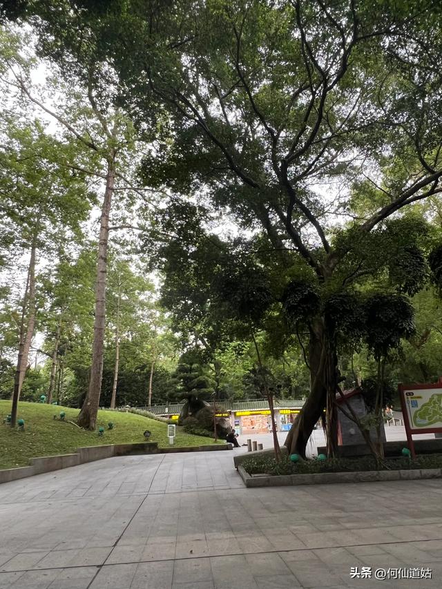 越秀公园，人心若镇海，立马上山巅