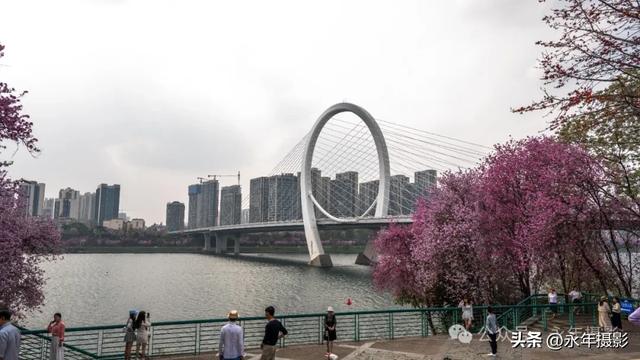 自驾环游中国行（二十九）广西柳州到桂林十里画廊