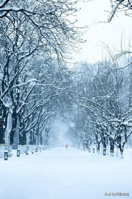 哈尔滨这“乌龙”真的闹大了！