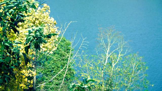 来达州宣汉，赴一场“黄金”盛宴