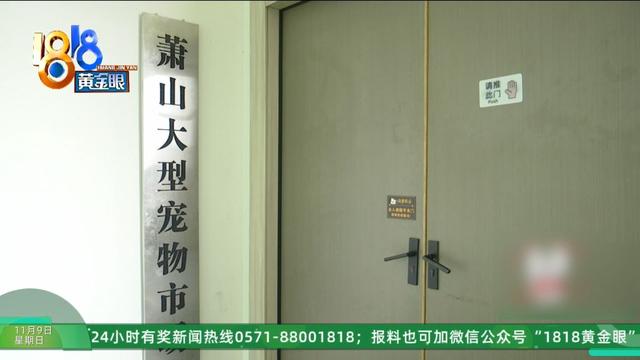 怎么又是这？她还拿出视频，里面“一动不动”，停了几只苍蝇....