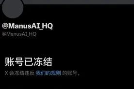 中国AI新品账号突然被马斯克旗下公司冻结！公司最新回应！图片