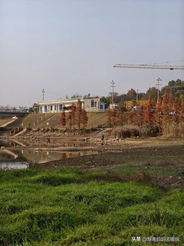 公交直达冬日限定“小东非”，带娃解锁长沙safari隐藏玩法！