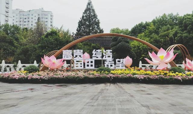 不愧是顶流！一大早就红了，人挤人持续好多天！萧山人家门口也有······