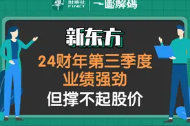 一图解码：新东方24财年第三季度业绩强劲 但撑不起股价图片