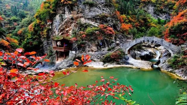 撷英 | 贾婉雪：西狭随笔（散文）