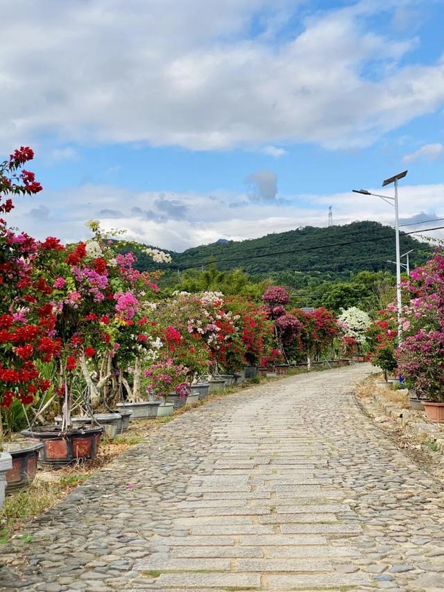 厦门又一网红出片点位，上新！美成偶像剧取景地→