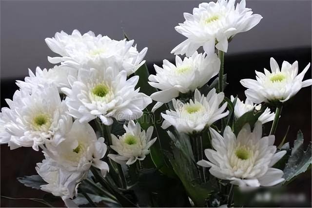 看完泪目！安徽夫妻相守18年，丈夫离世才两天，妻子就紧随而去