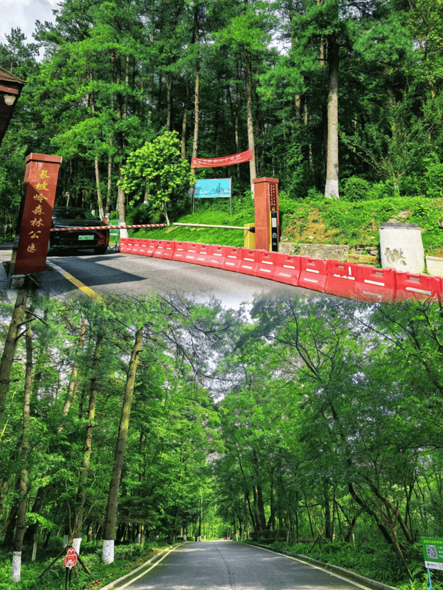 14个免费公园遛娃全攻略：看猴、玩水、露营、徒步一次集齐！速藏