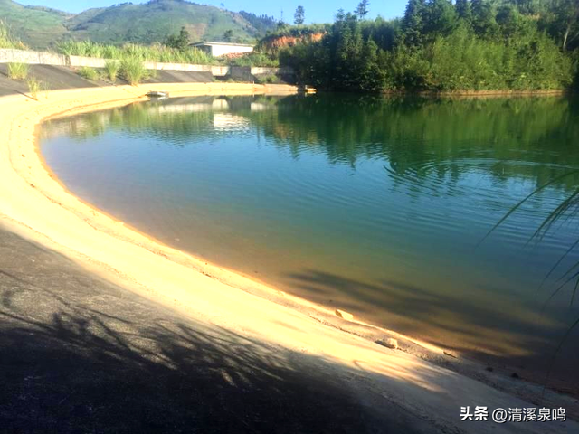 白石行吟