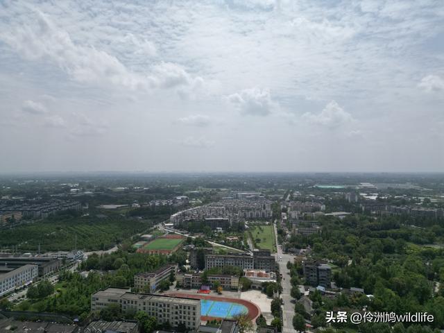 成都古镇（15）郫县唐昌古镇崇宁公园·大椿巷