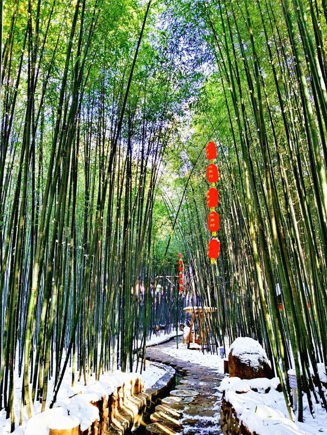 董宇辉向世界推荐，“请花几天时间去山东”！