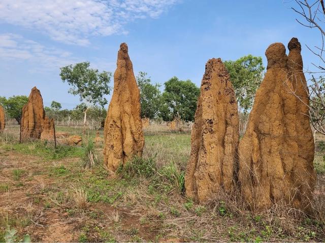 〔读城〕澳洲小镇游记