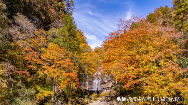 汉中这处红叶已进入最佳观赏期