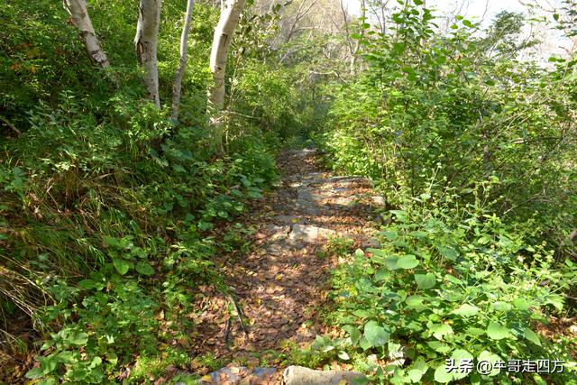 河北百草畔（中）：览尽三山舒望眼，行穿百草浣尘襟