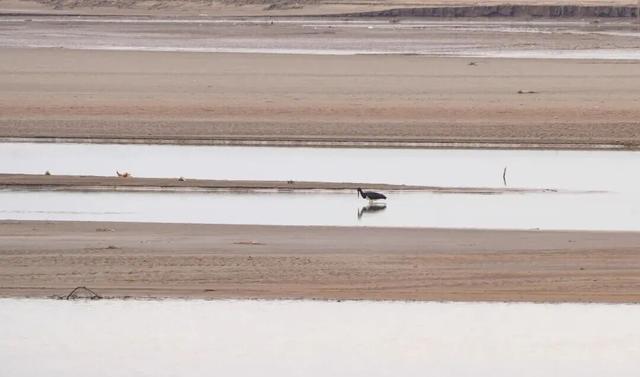 这份“河南冬日色卡”，每一帧都是壁纸